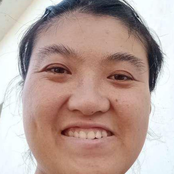 风中向小鸽子的照片