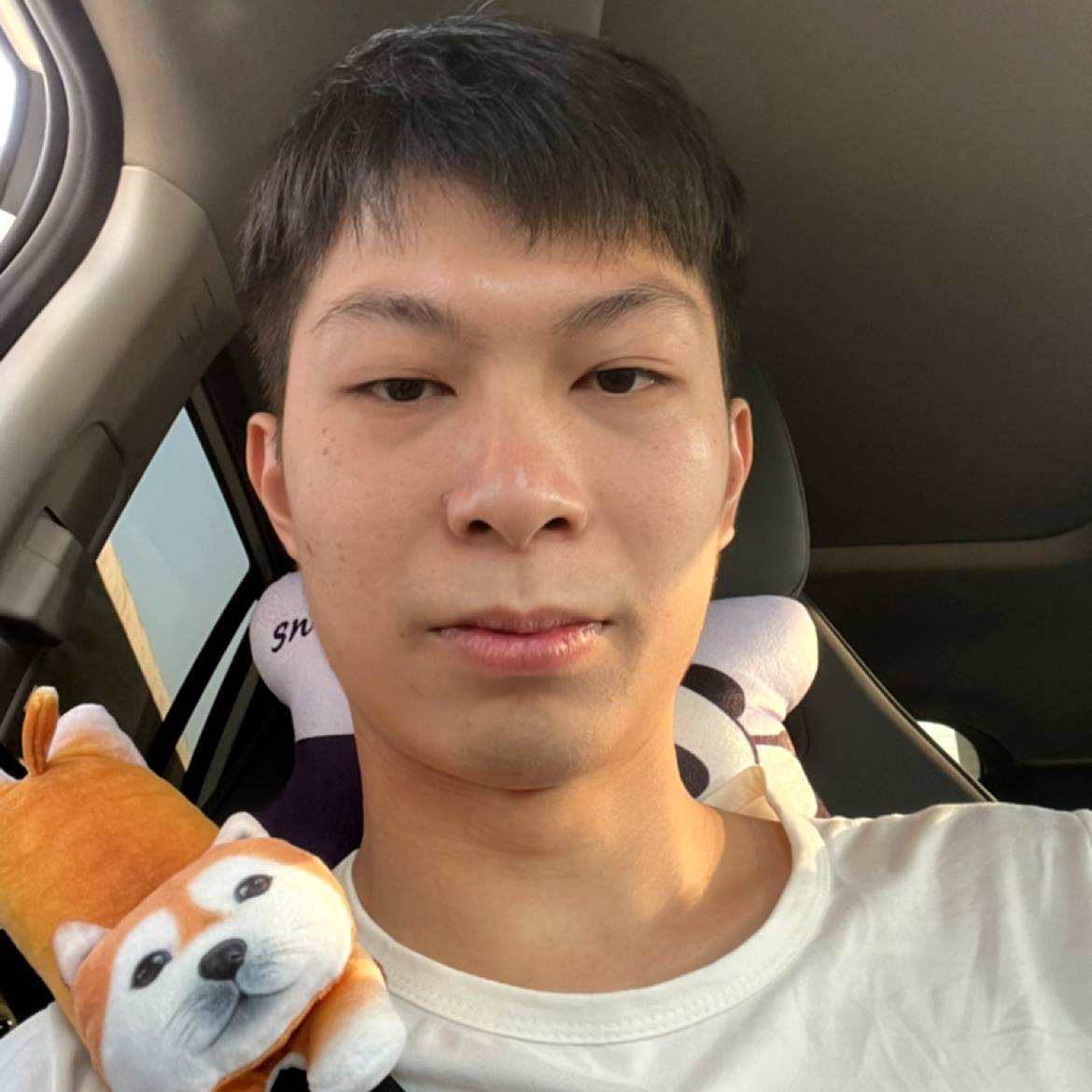 板凳说寒冷的照片