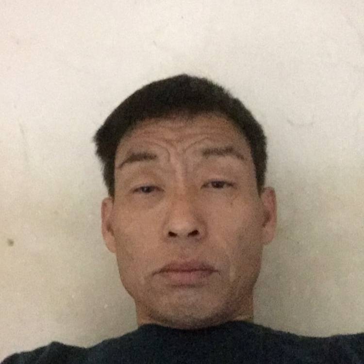 一棵白杨9088的照片