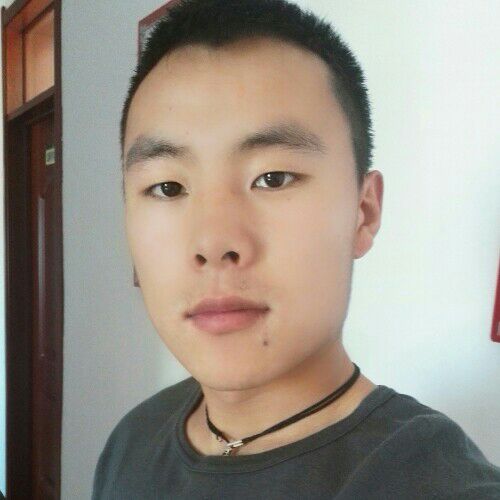 柳絮清风的照片