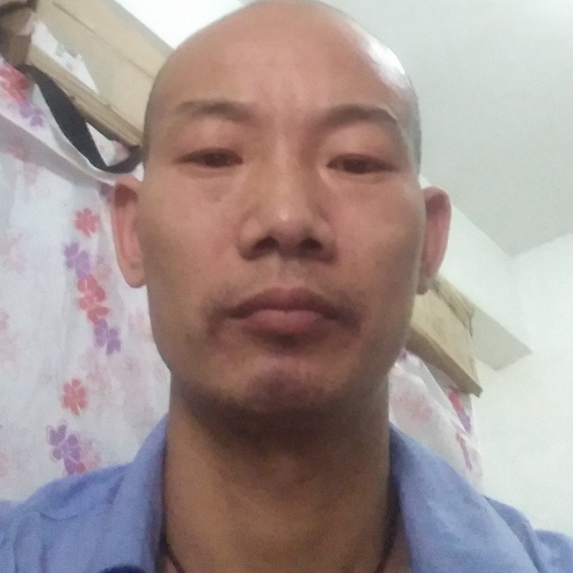 大雁打标致的照片