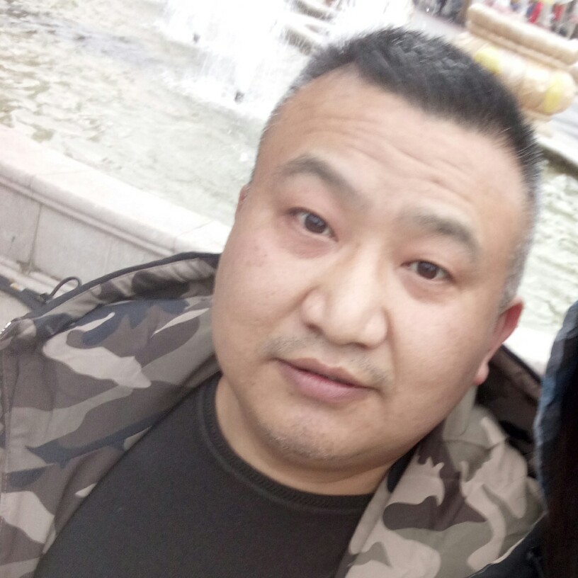 老斑马的照片