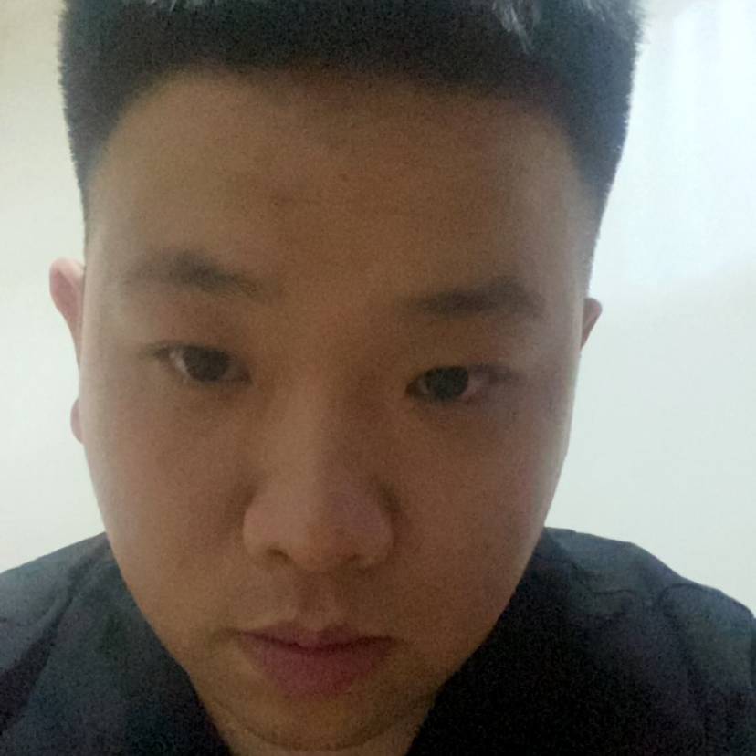 羽毛浅吻老实的照片