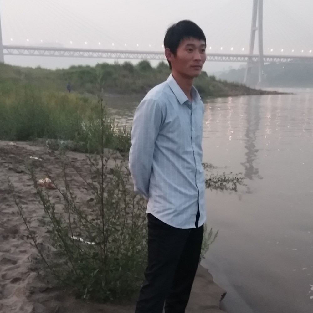 无私有砖头的照片