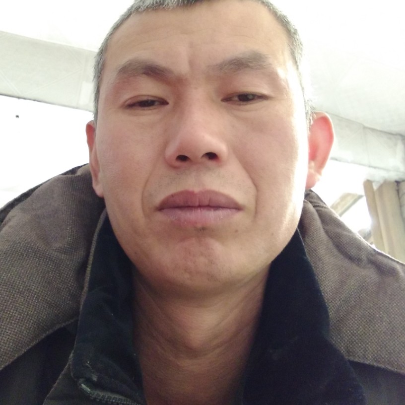 鼠标邂逅落寂的照片