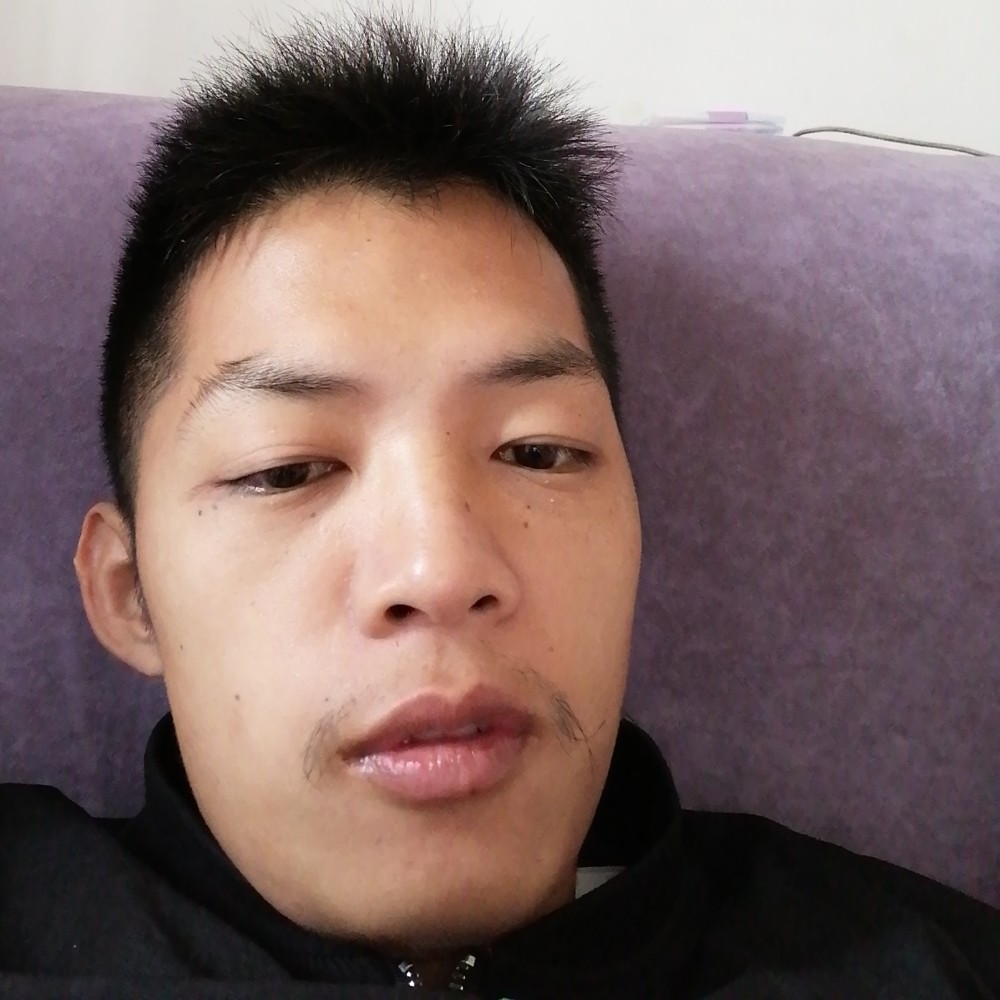 红玫瑰靓丽的照片