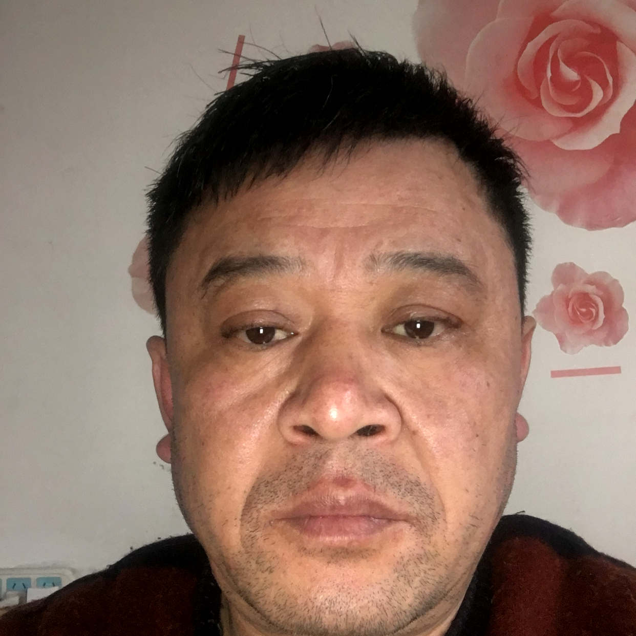 耀眼明珠的照片