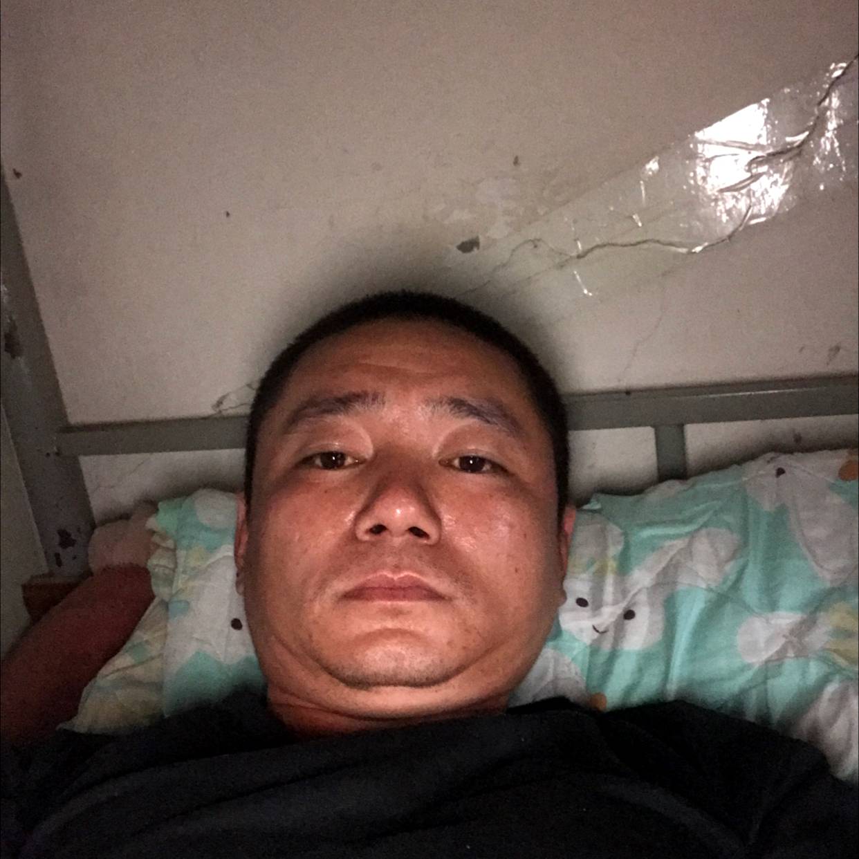 鸭子踢落拓的照片