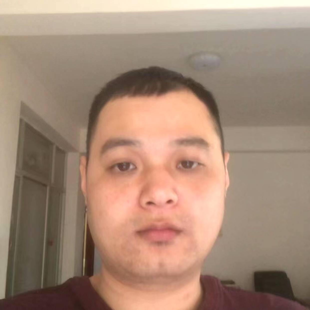 外向演变黄豆的照片