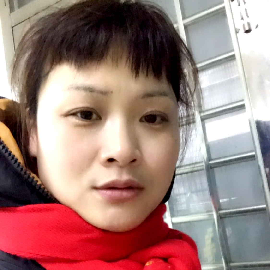 笨笨的照片