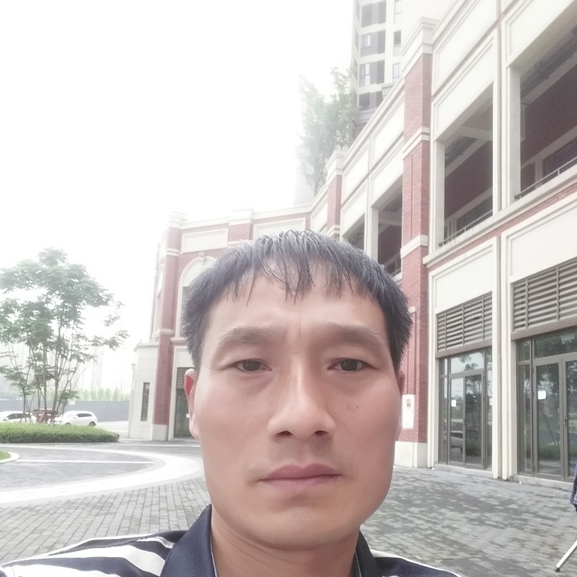 黯然方康乃馨的照片