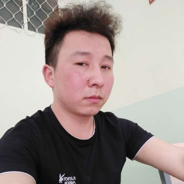 仙人掌重要的照片