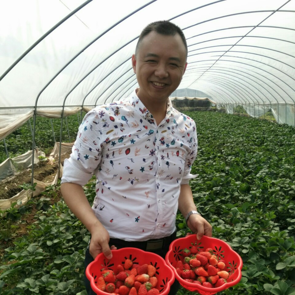 成就彼岸的照片