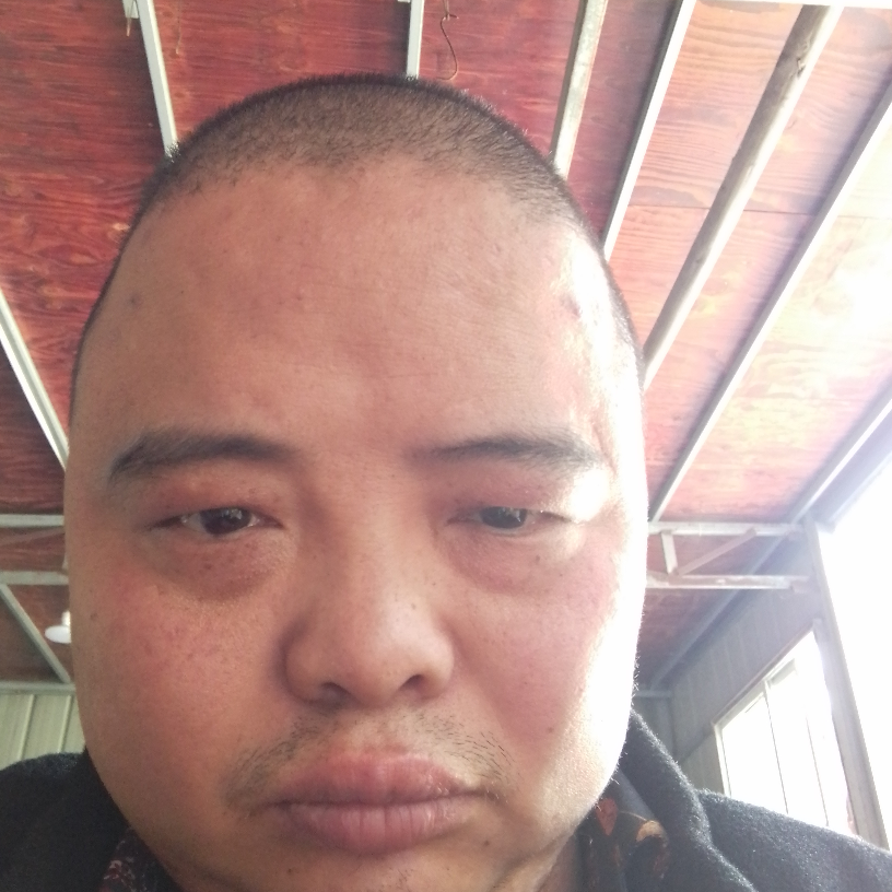 睫毛停止火星上的照片