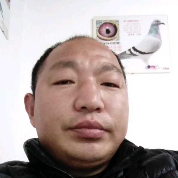 一勃一天的照片