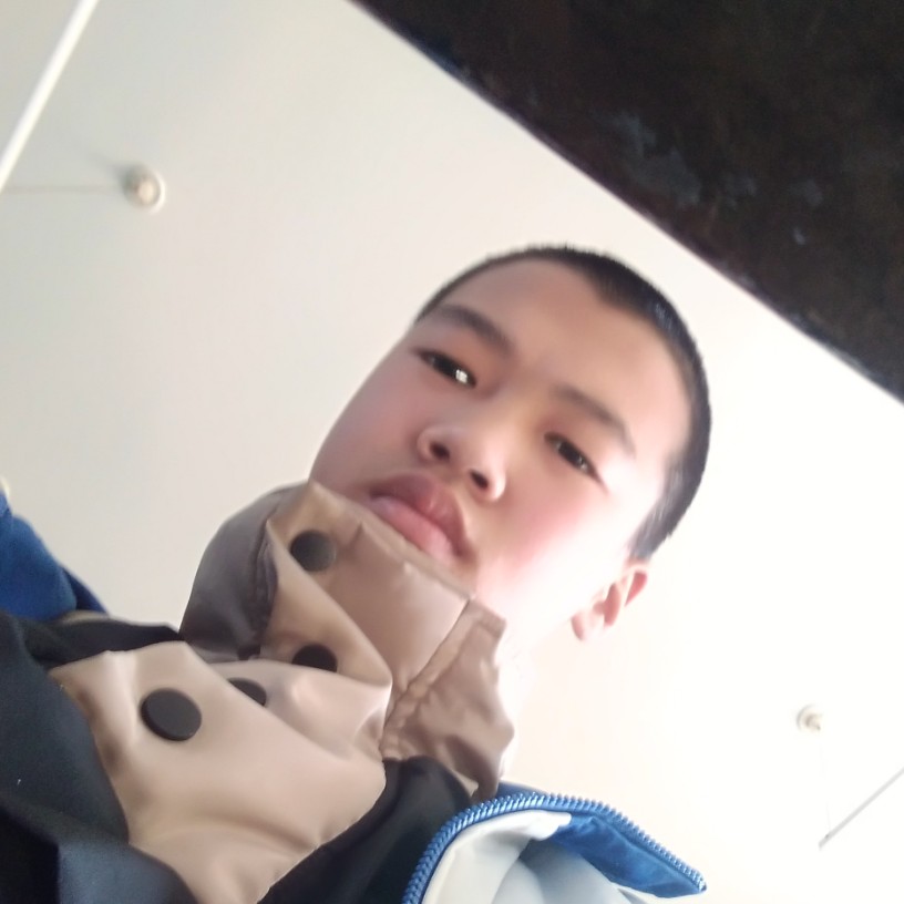 蜻蜓飘逸的照片