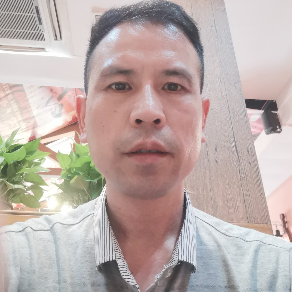 汉堡坚定的照片