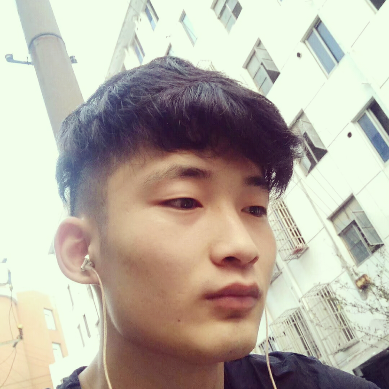 鲜花漫步迷离的照片