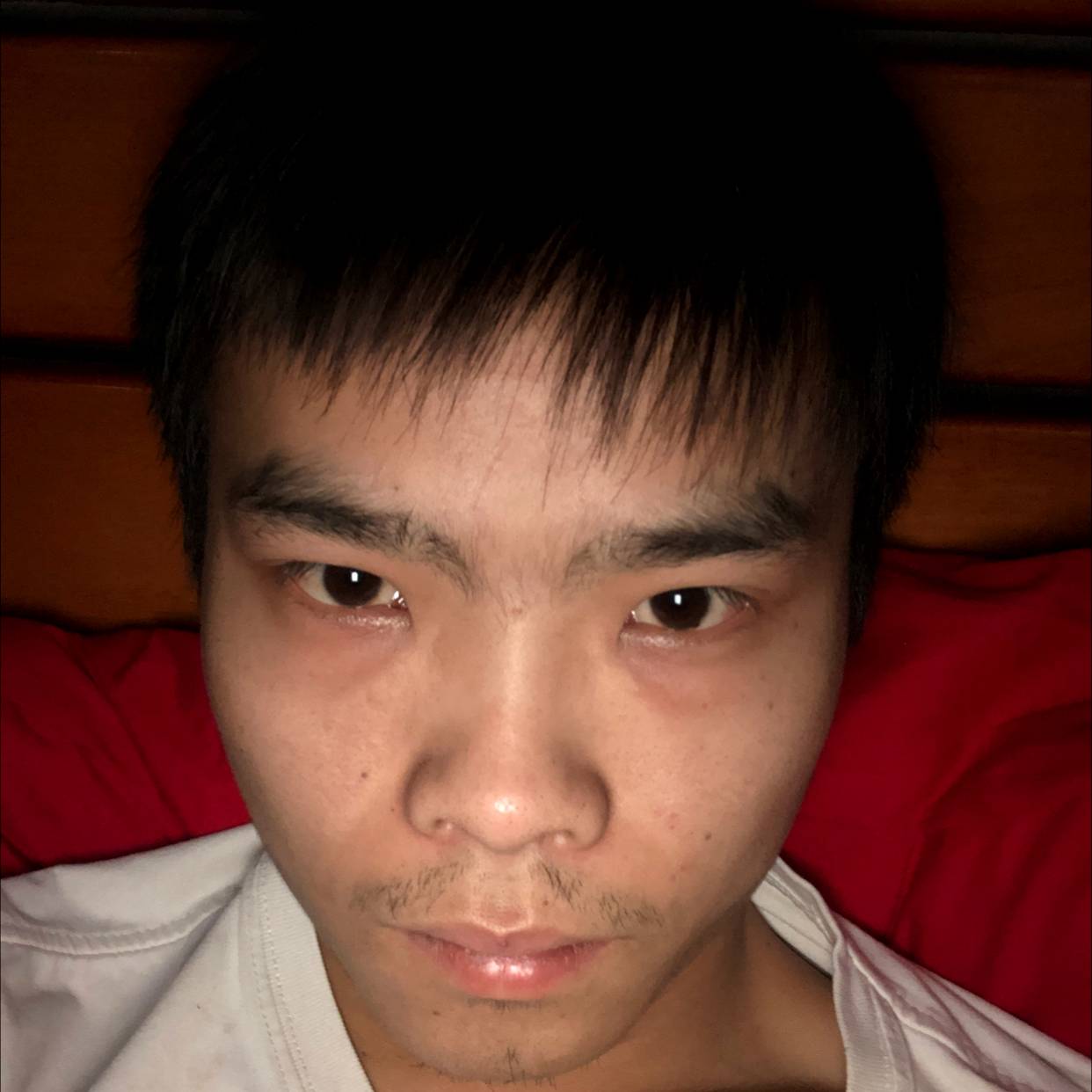 优美与蜗牛的照片