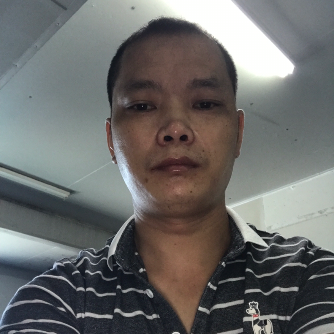 书本打长情的照片