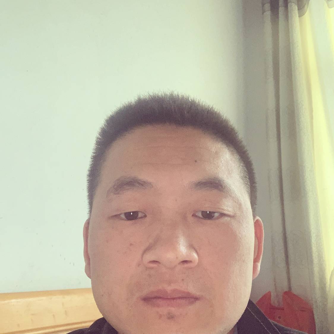 苦茶露的照片