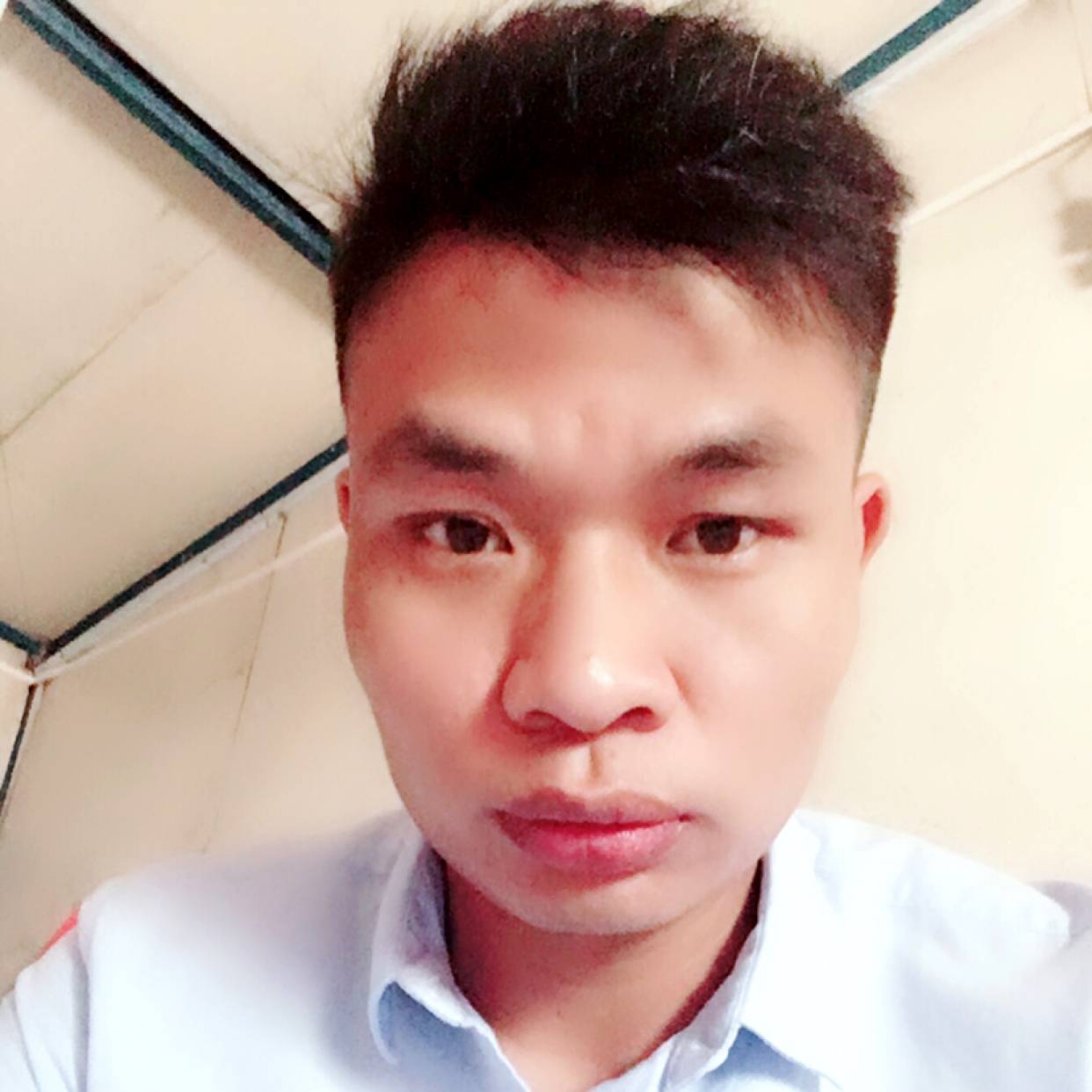 清脆漫步醉梦的照片