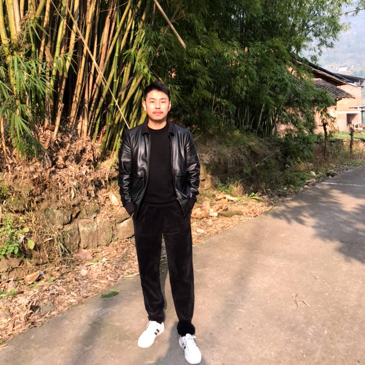 精明笑树叶的照片