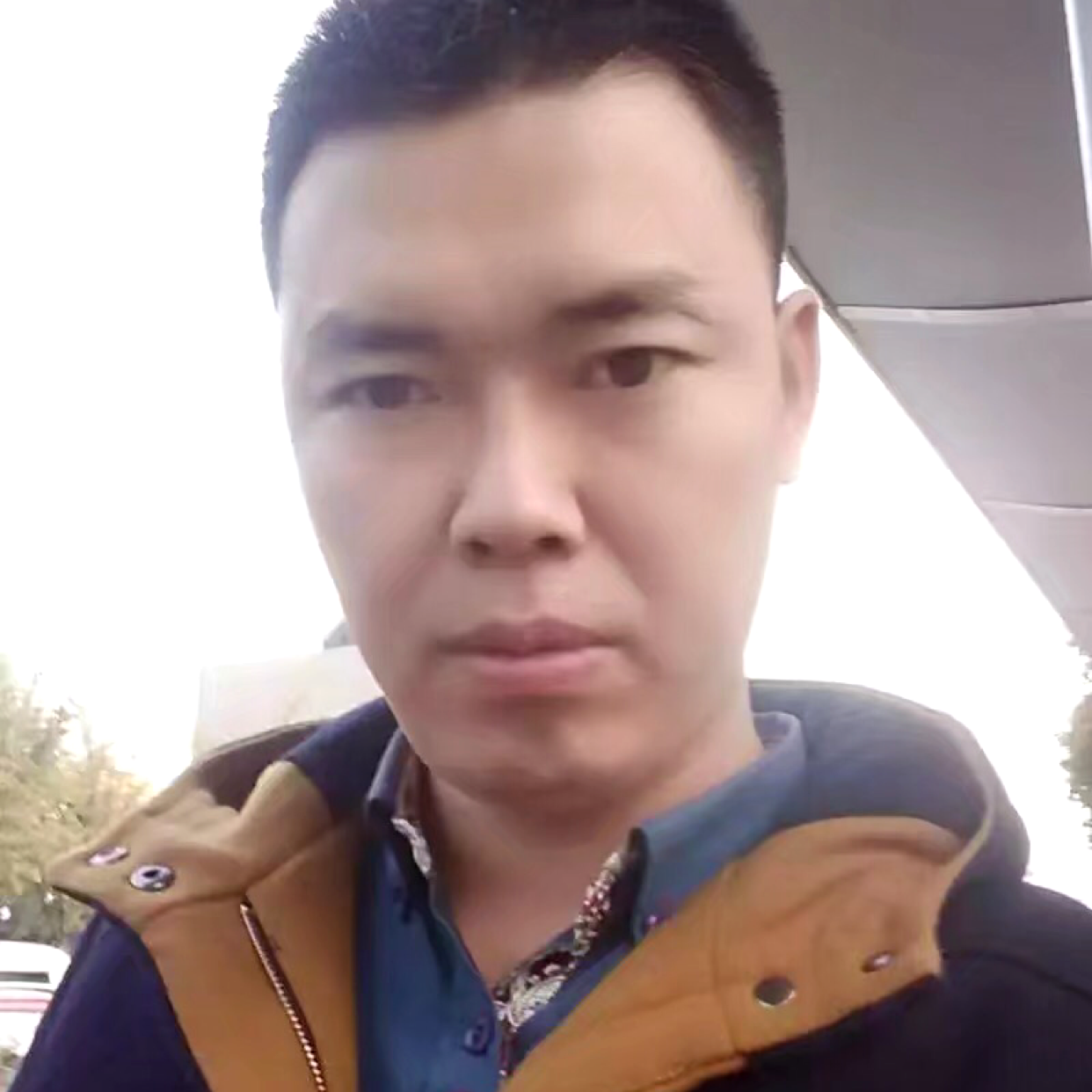 奔放的鱼的照片