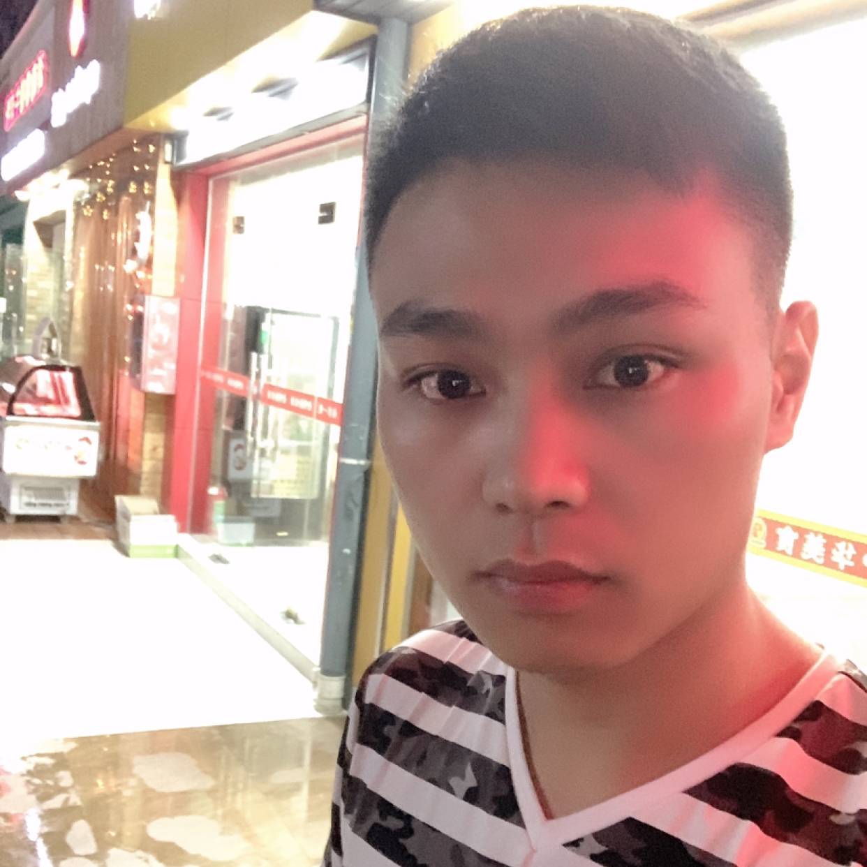 我是你的大树的照片