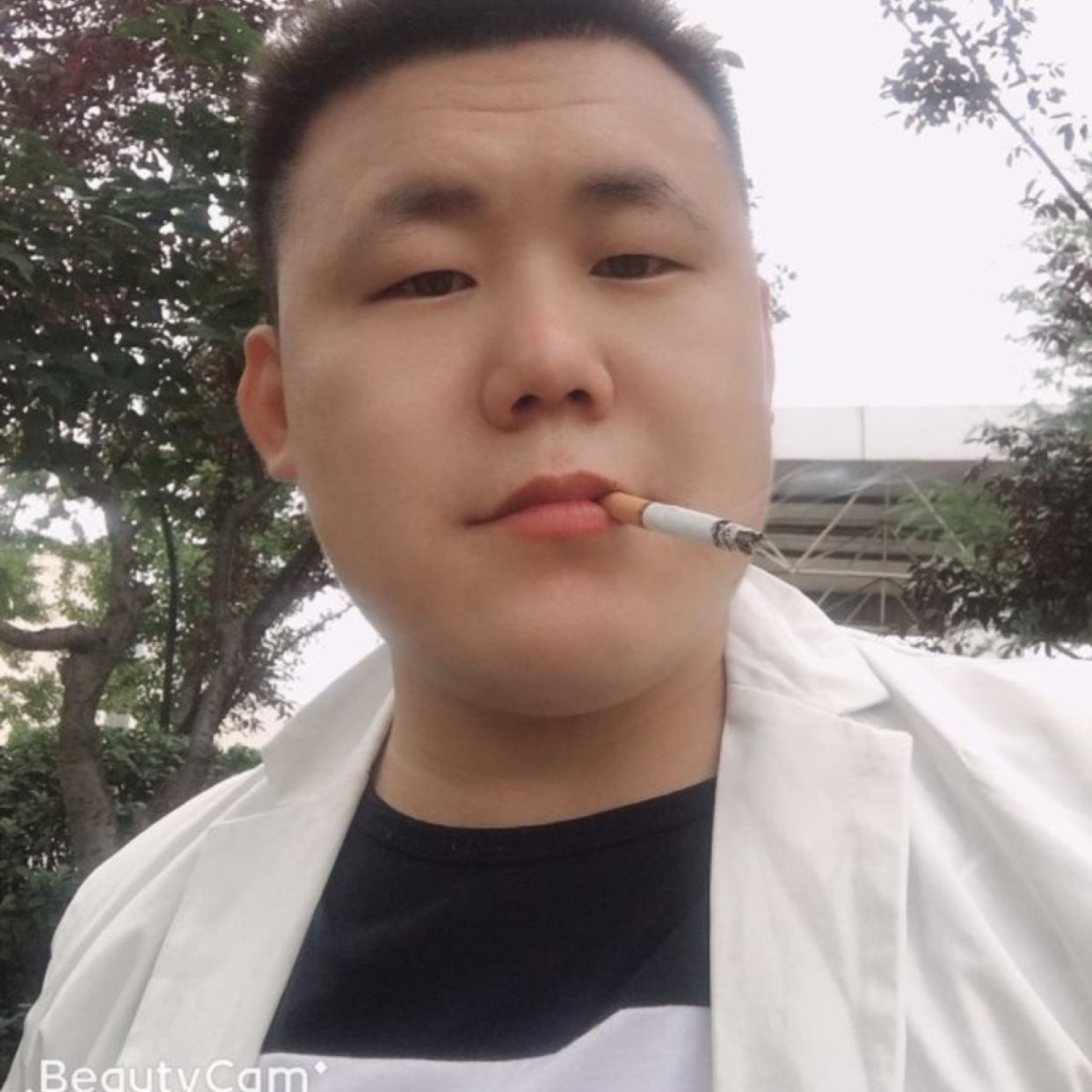 蜻蜓积极的照片