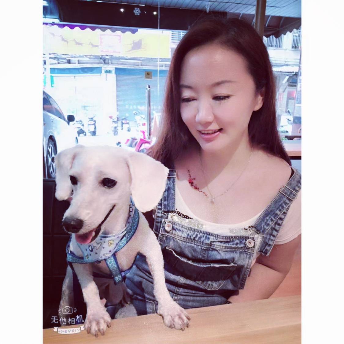 怕孤独闻小懒虫的照片