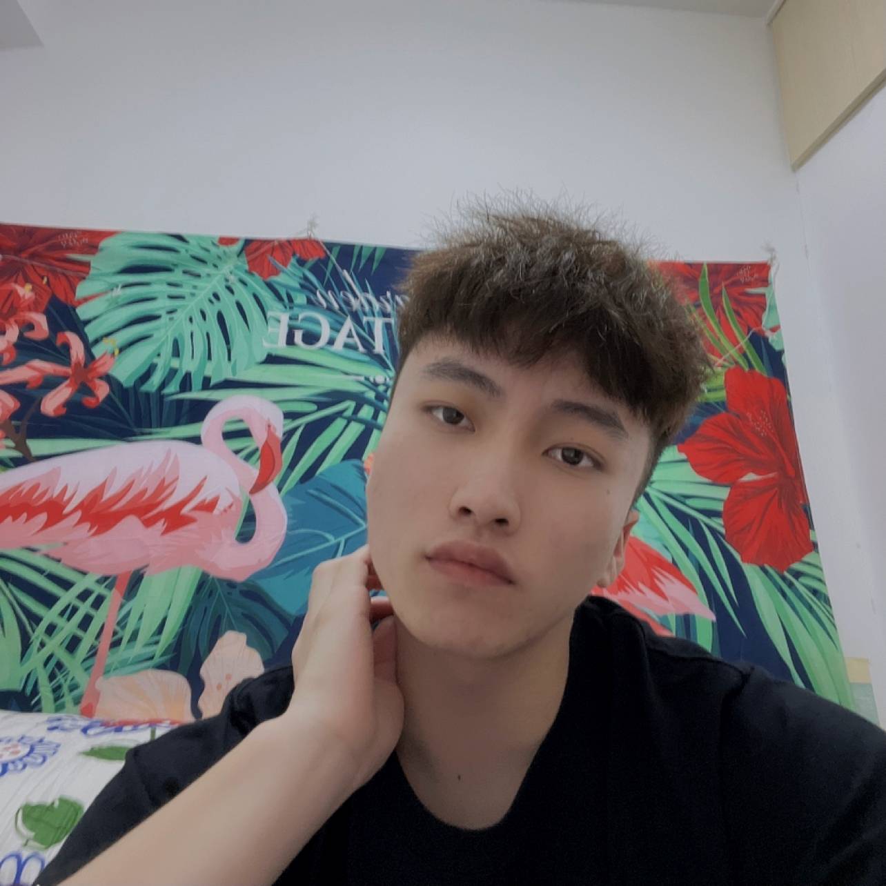 羽蒙x的照片