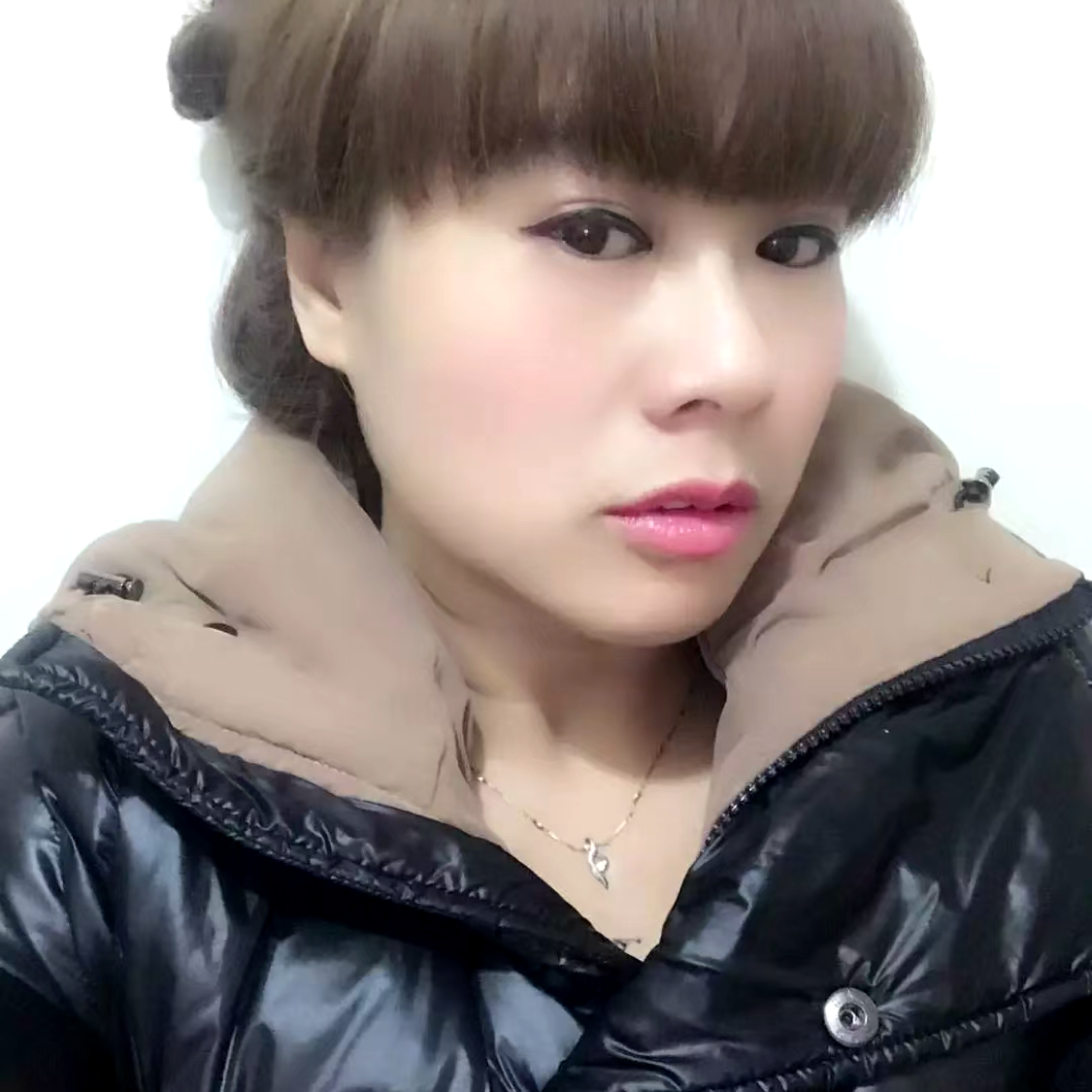富贵菊的照片