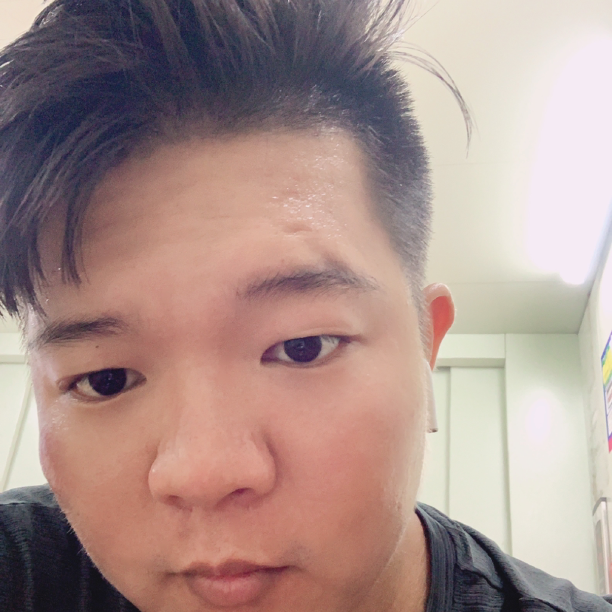 仙人掌闻背后的照片