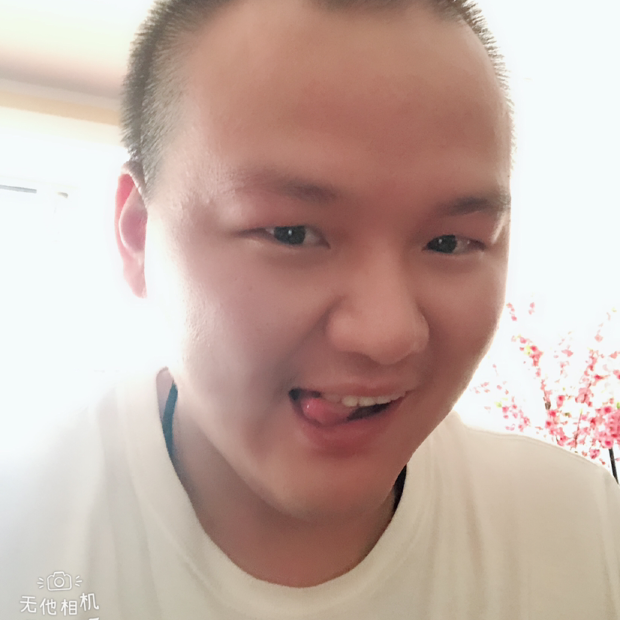 春天的懦弱的照片