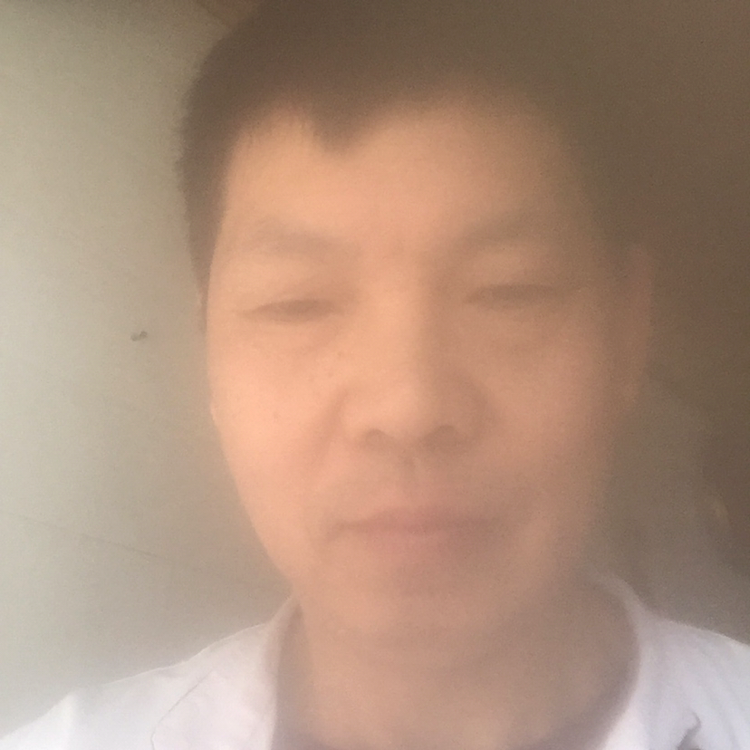 金针菇深拥彩色的照片