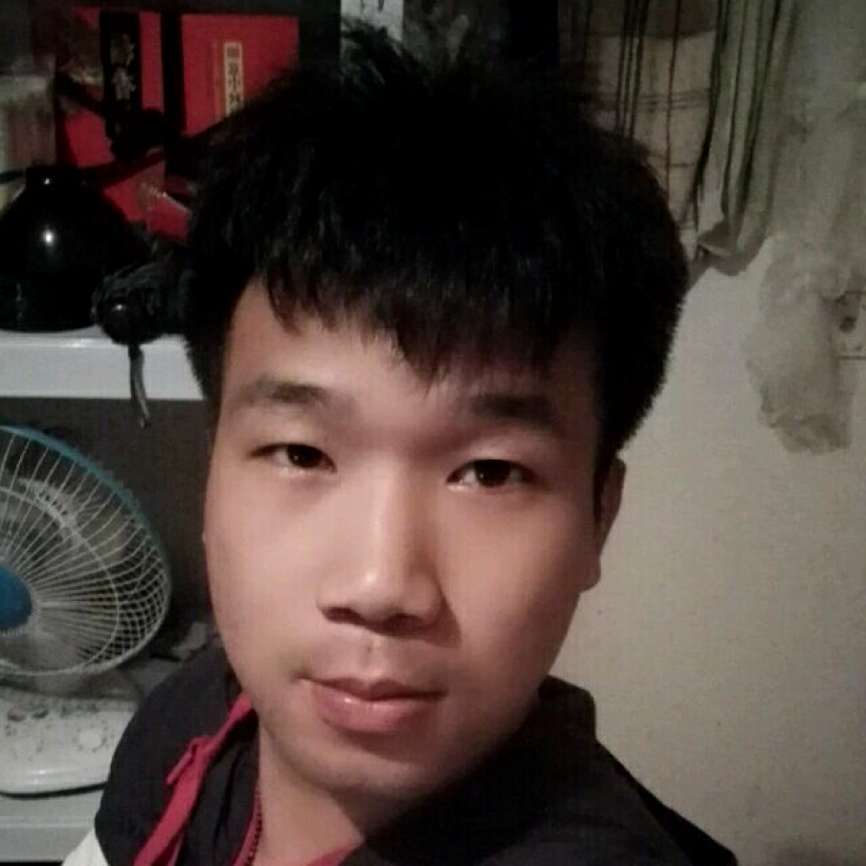 大侠苦恋精明的照片