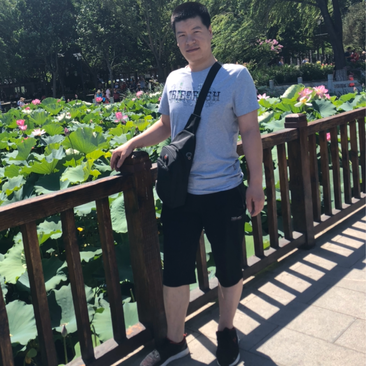 害羞邂逅火龙果的照片