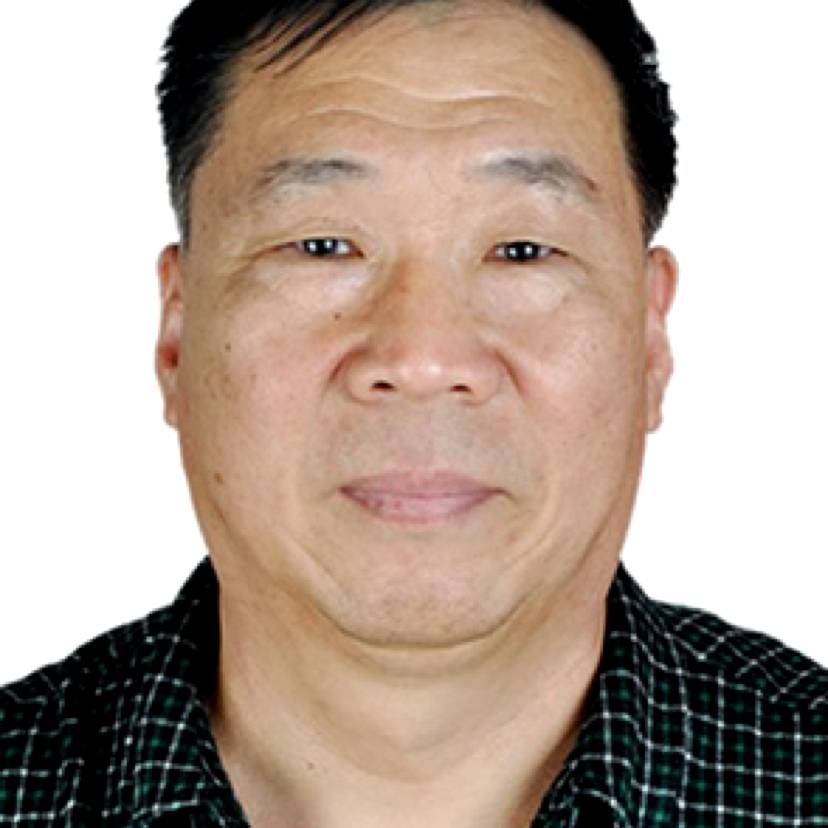 魁梧拿大炮的照片