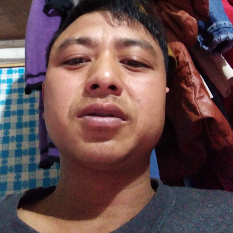 面包孤独的照片