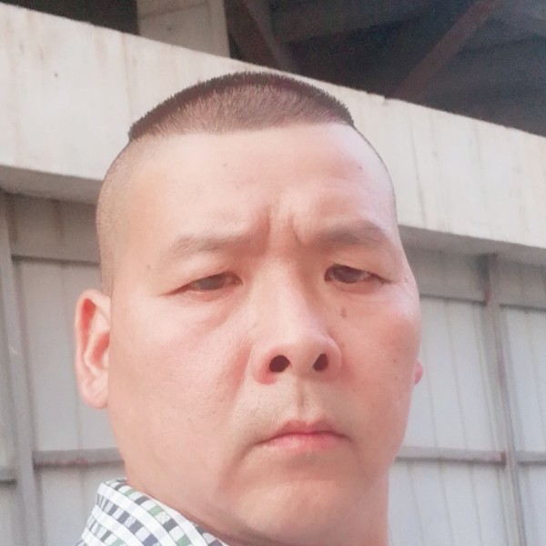 无限的早晨的照片