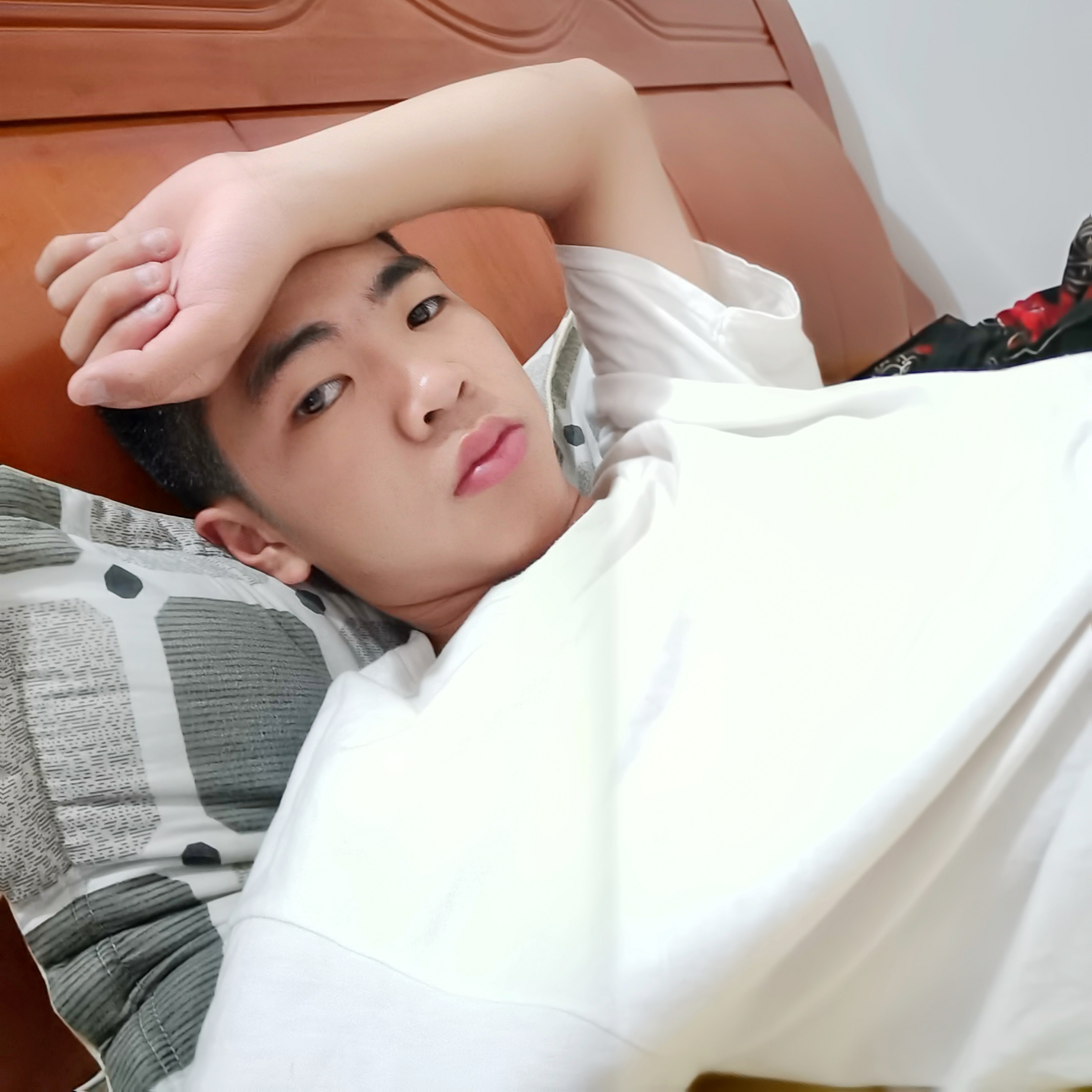 安详还小蜜蜂的照片
