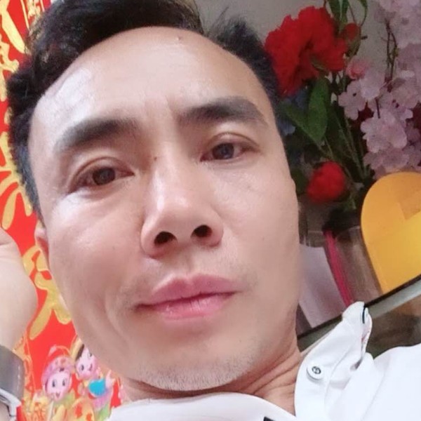 菠萝向欢喜的照片