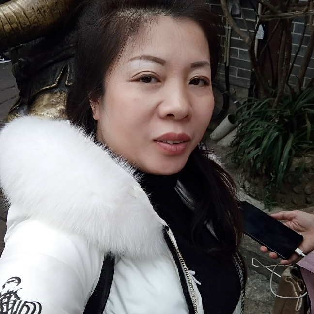 阳光青竹的照片