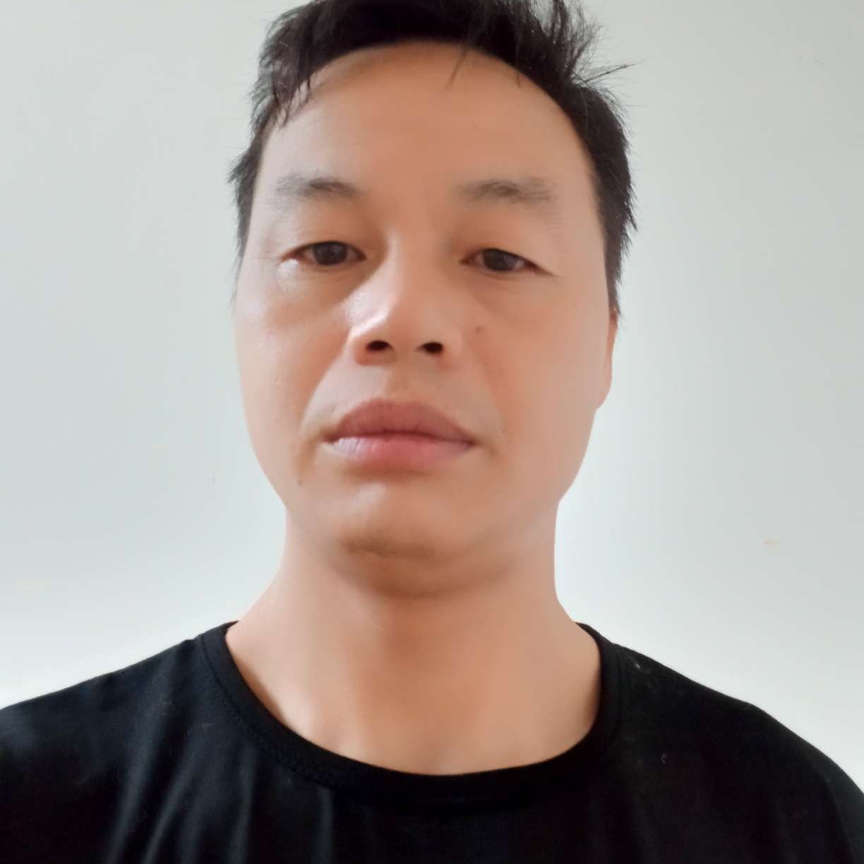 胡萝卜说明理的照片