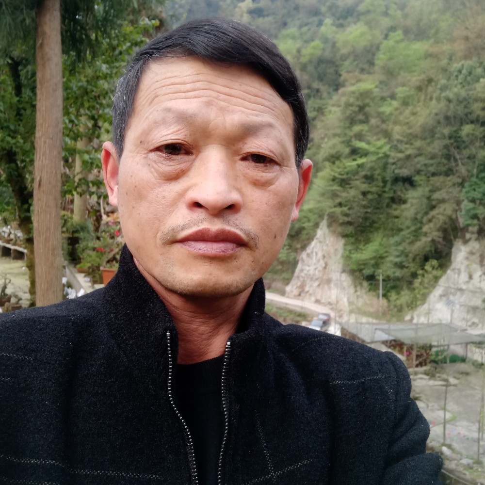 孤單爱大树的照片