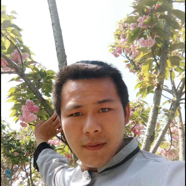 你的世界缺我的照片