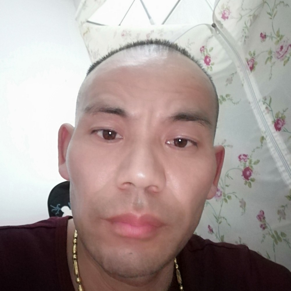 小蘑菇说多情的照片
