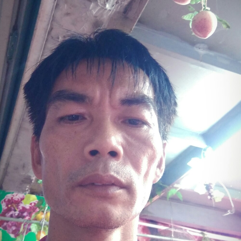 善文的照片