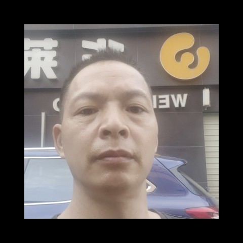 懦弱砖头绿叶抱枕的照片